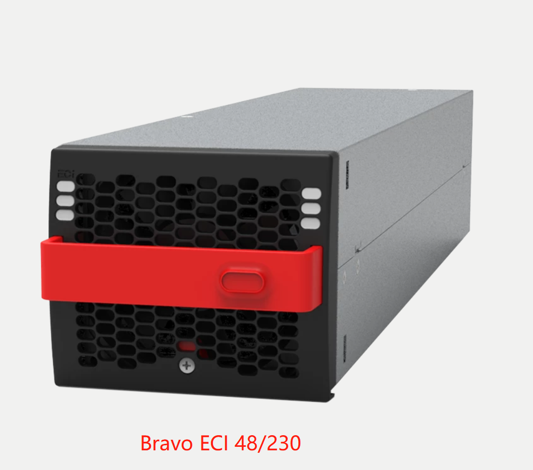 BRAV 10 48 230  (1).jpg
